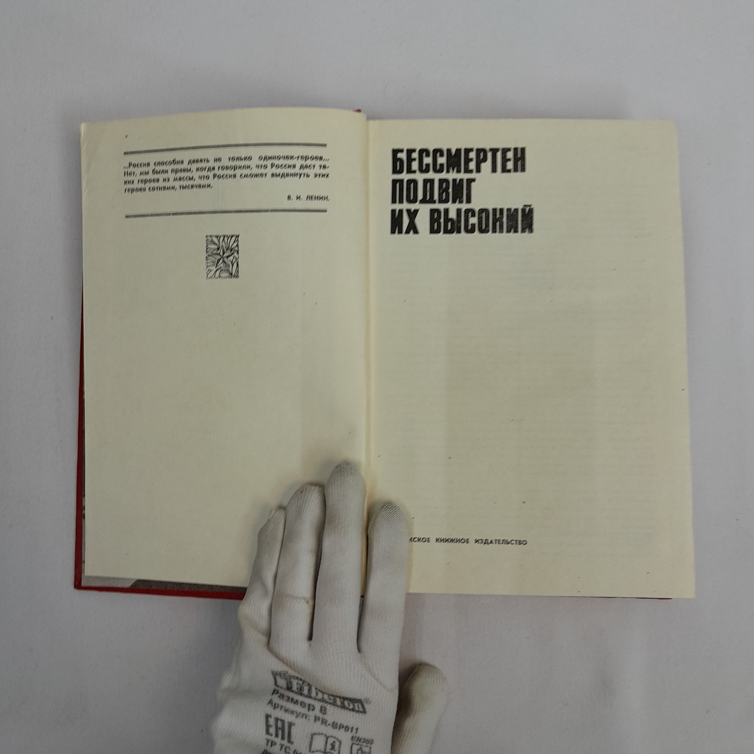 Картинка 5
