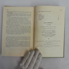 Картинка 3