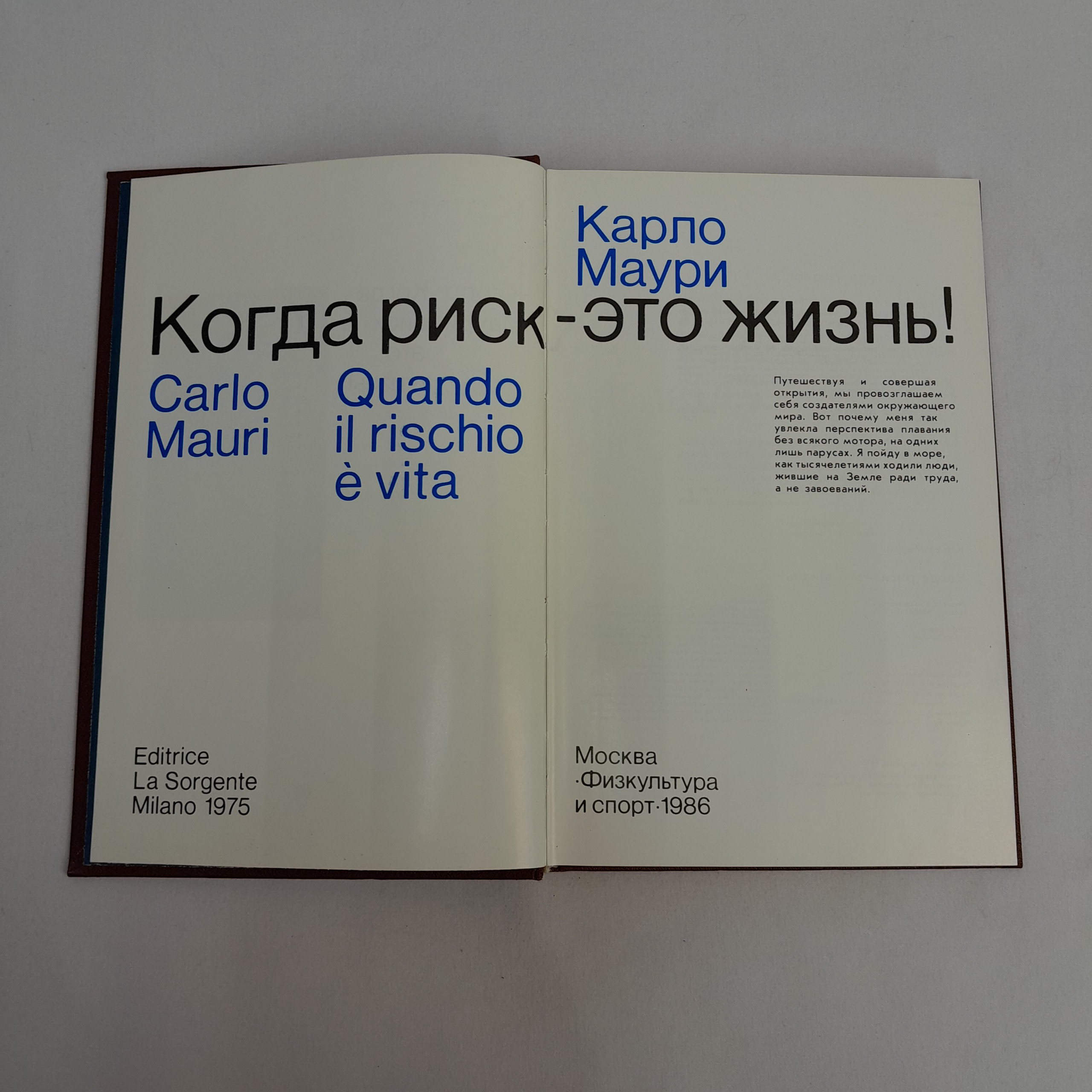 Картинка 4