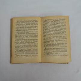Картинка 4