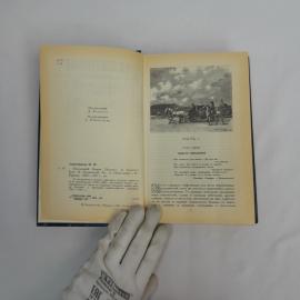 Картинка 5