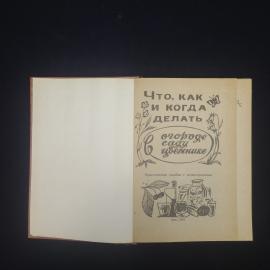 Картинка 3
