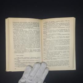Картинка 4
