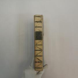 Картинка 5