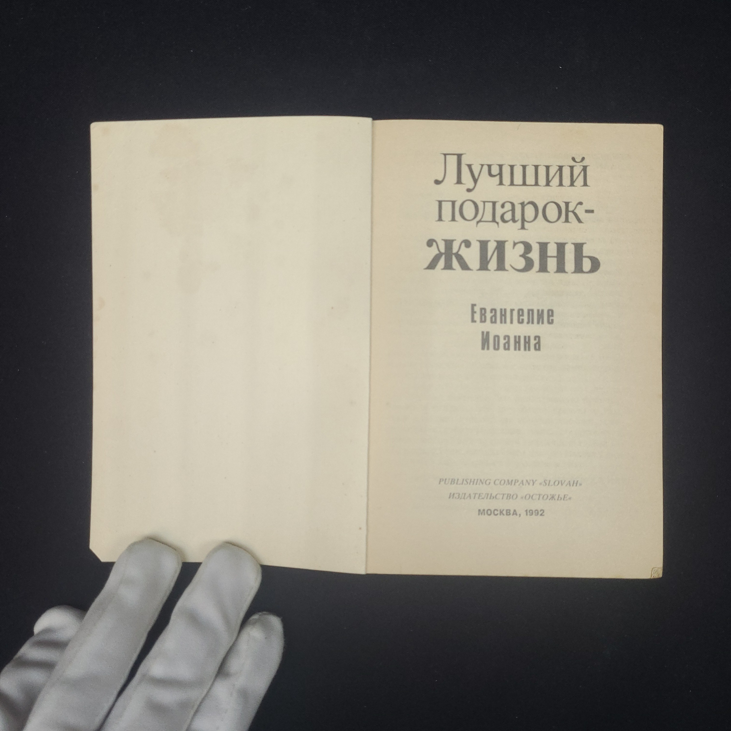 Картинка 3