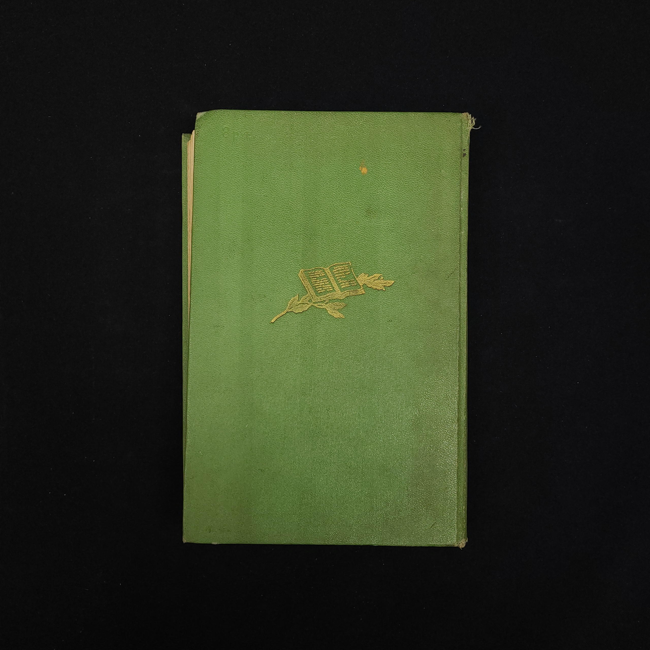 Картинка 7