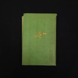 Картинка 7
