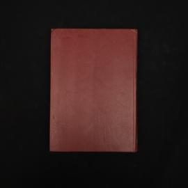 Картинка 7