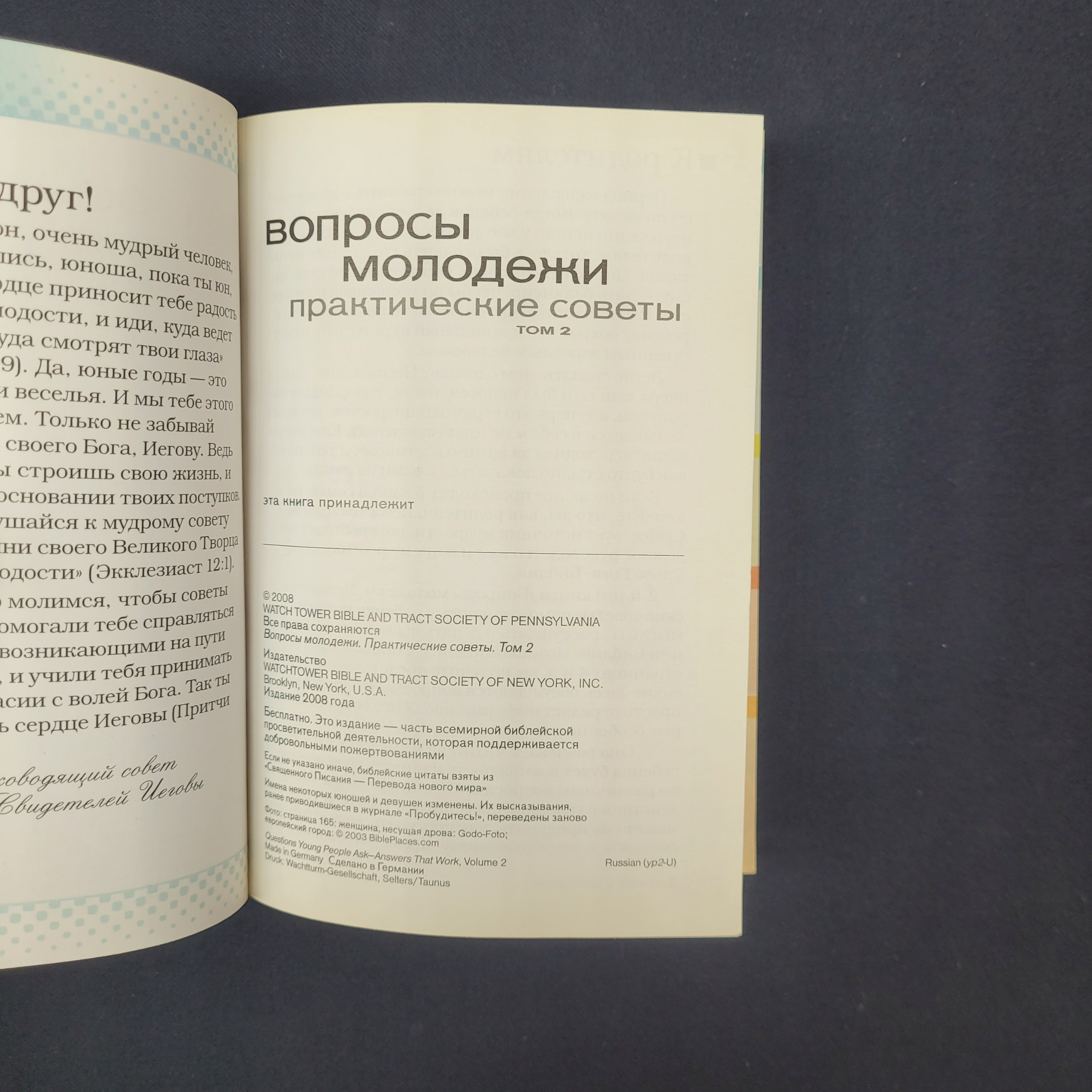 Картинка 4