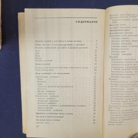 Картинка 6
