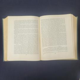 Картинка 5