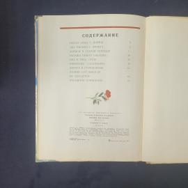 Картинка 5