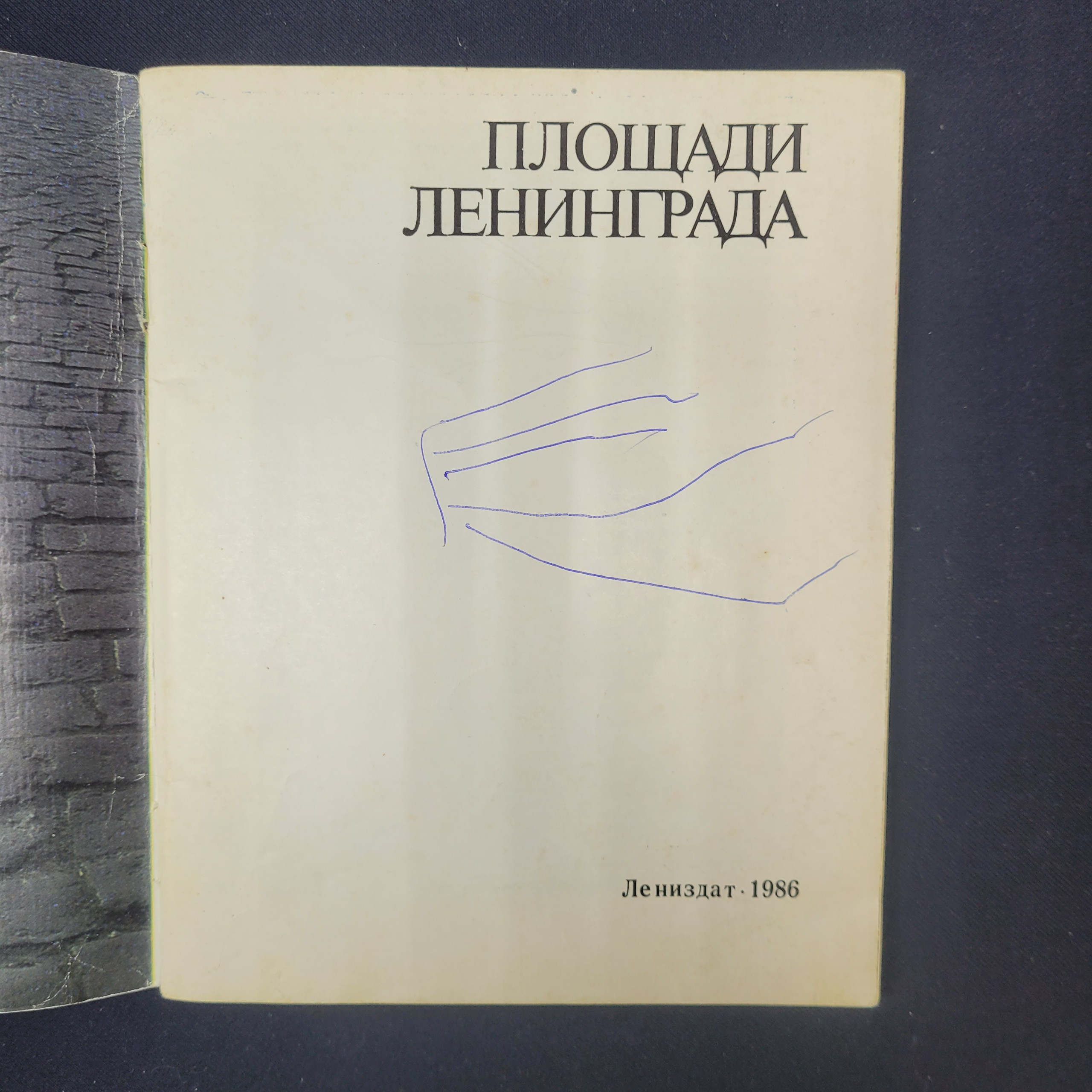 Картинка 3