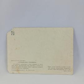 Картинка 2