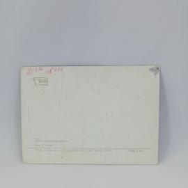 Картинка 2
