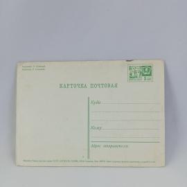 Картинка 2