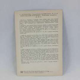 Картинка 2