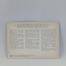 Картинка 2