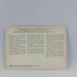 Картинка 2