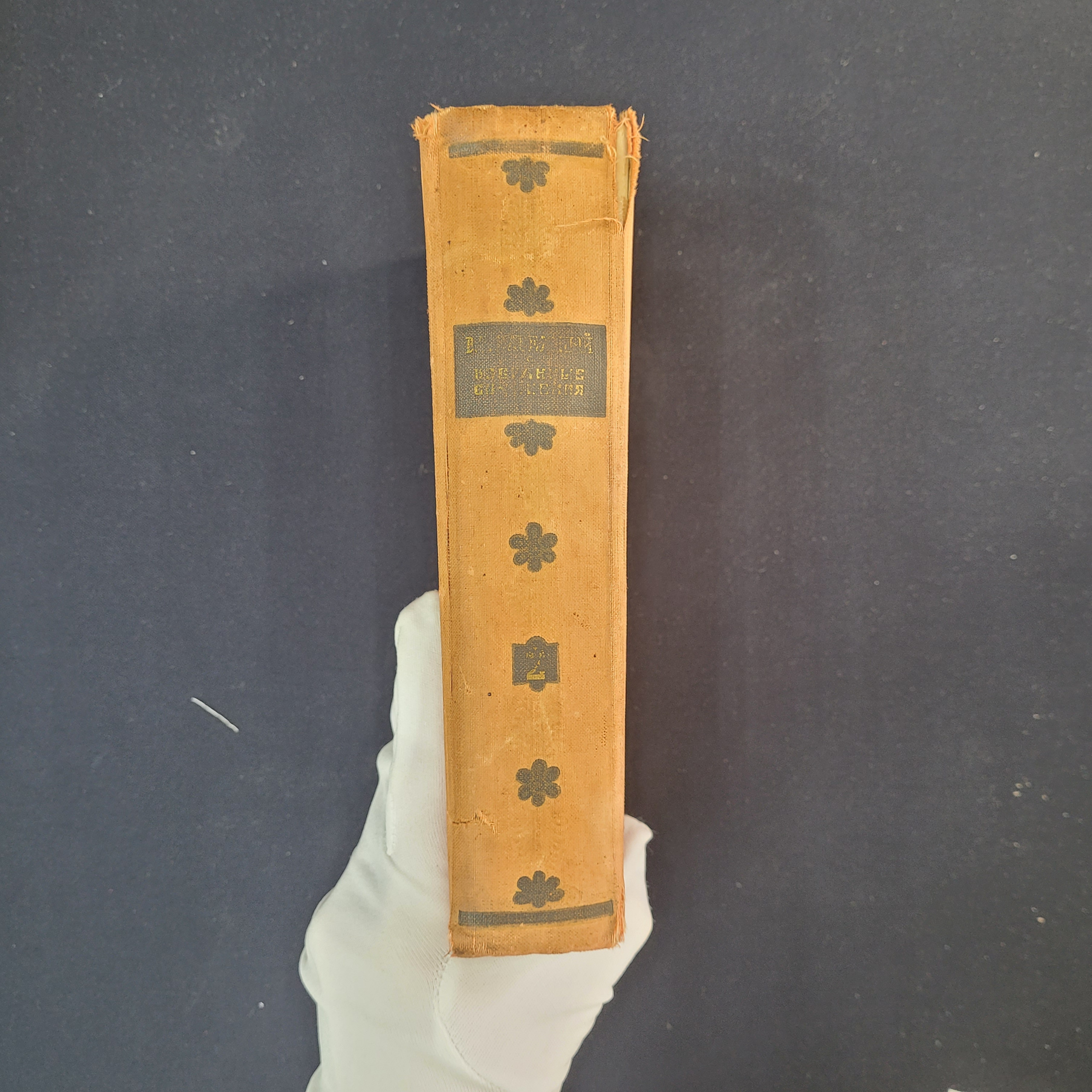 Картинка 2