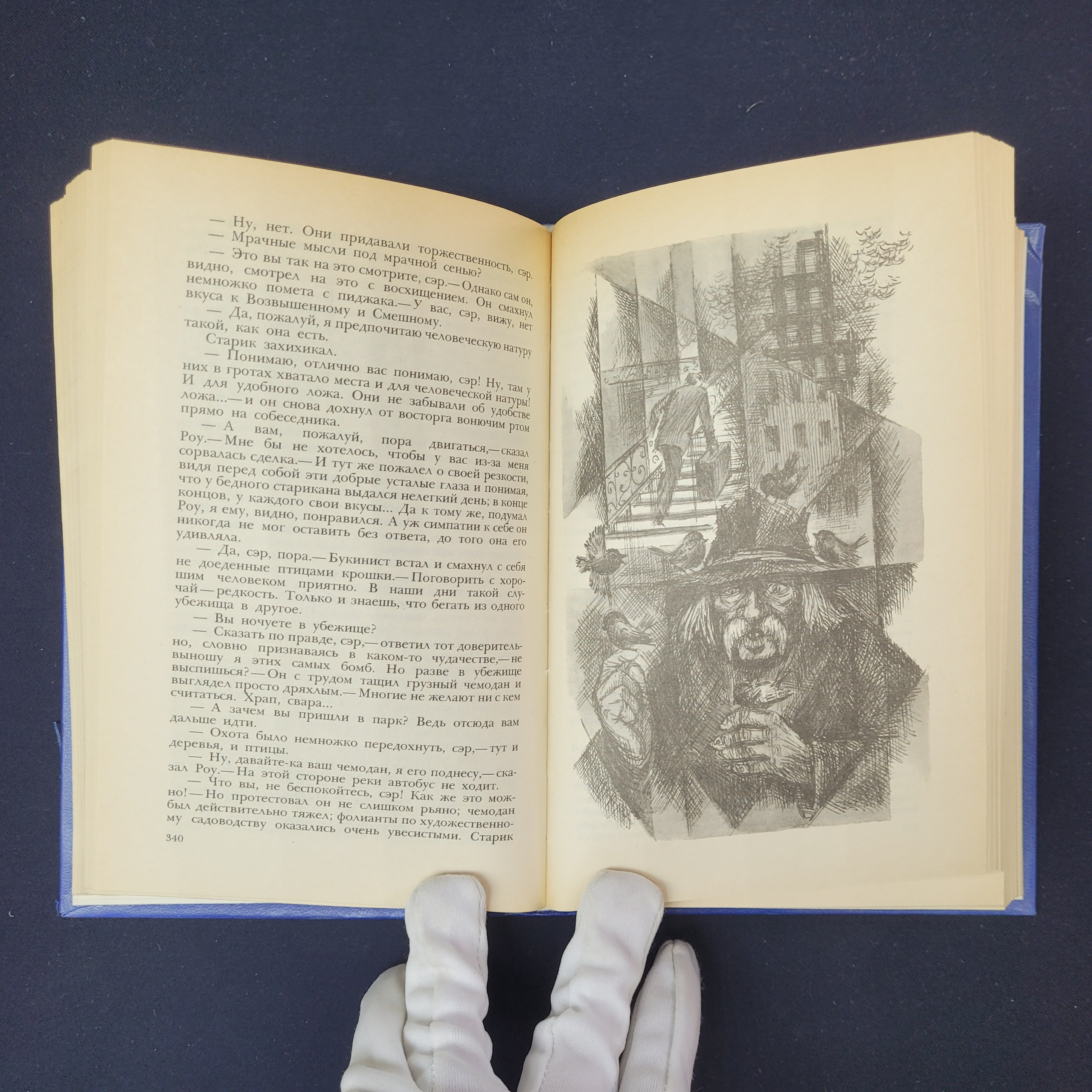 Картинка 5