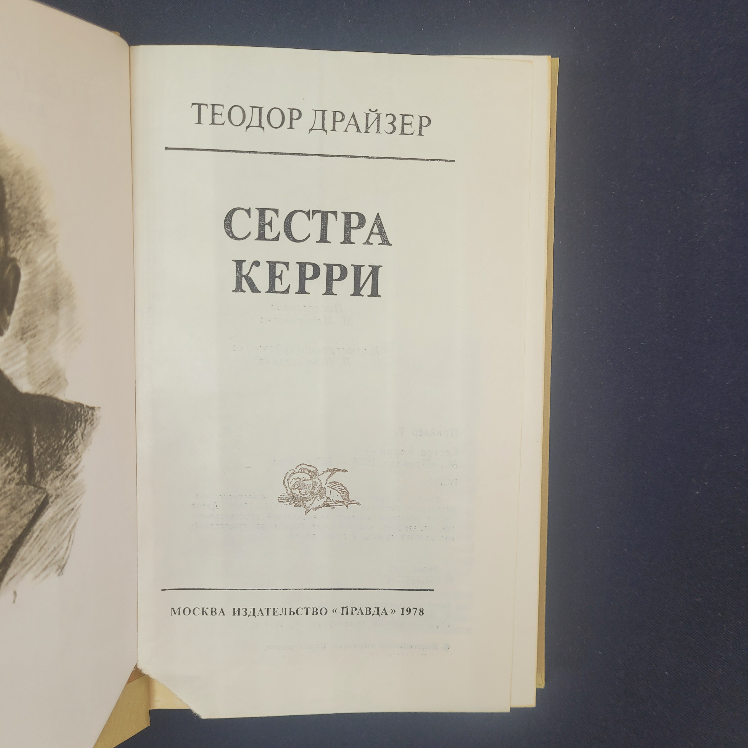 Картинка 4