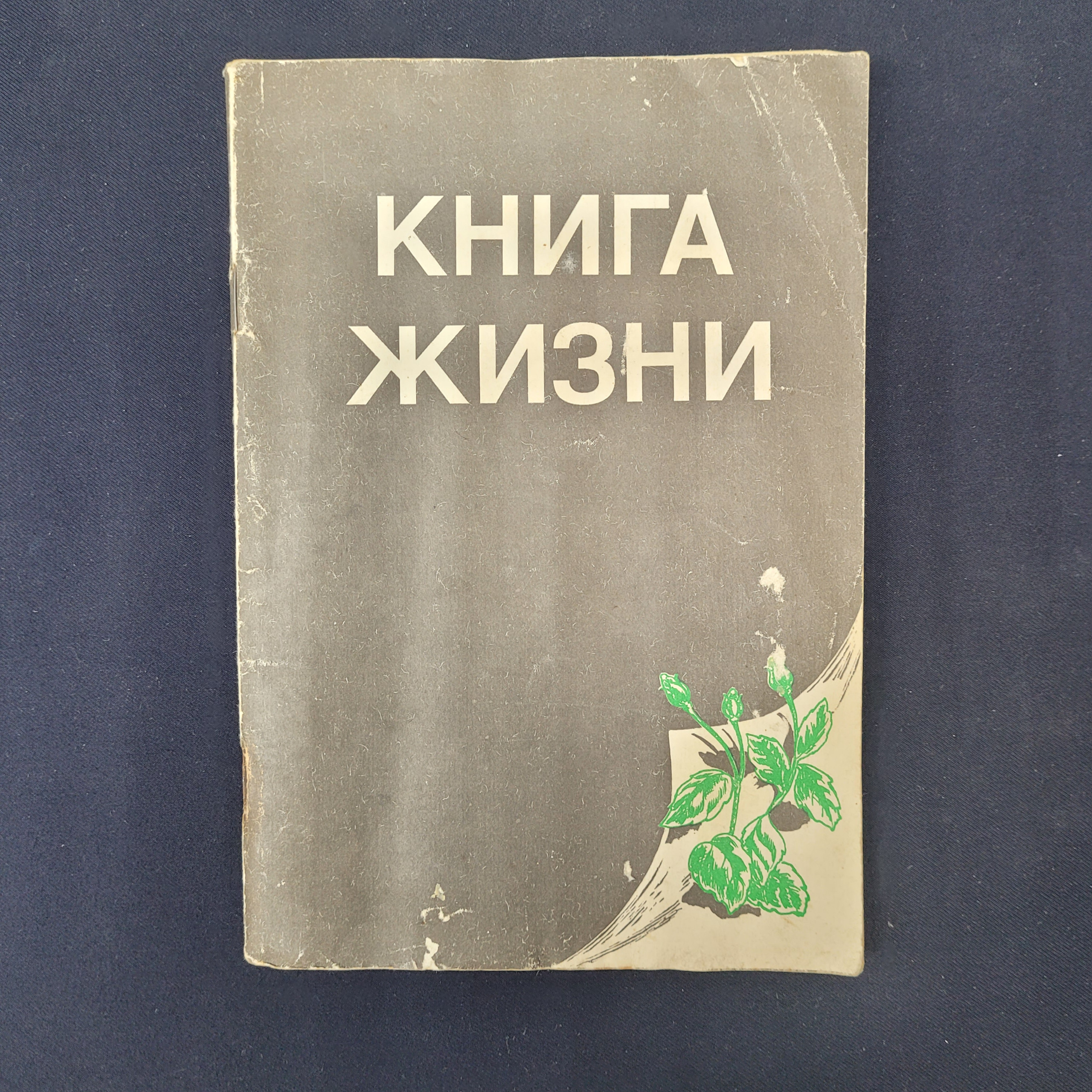 Картинка 1