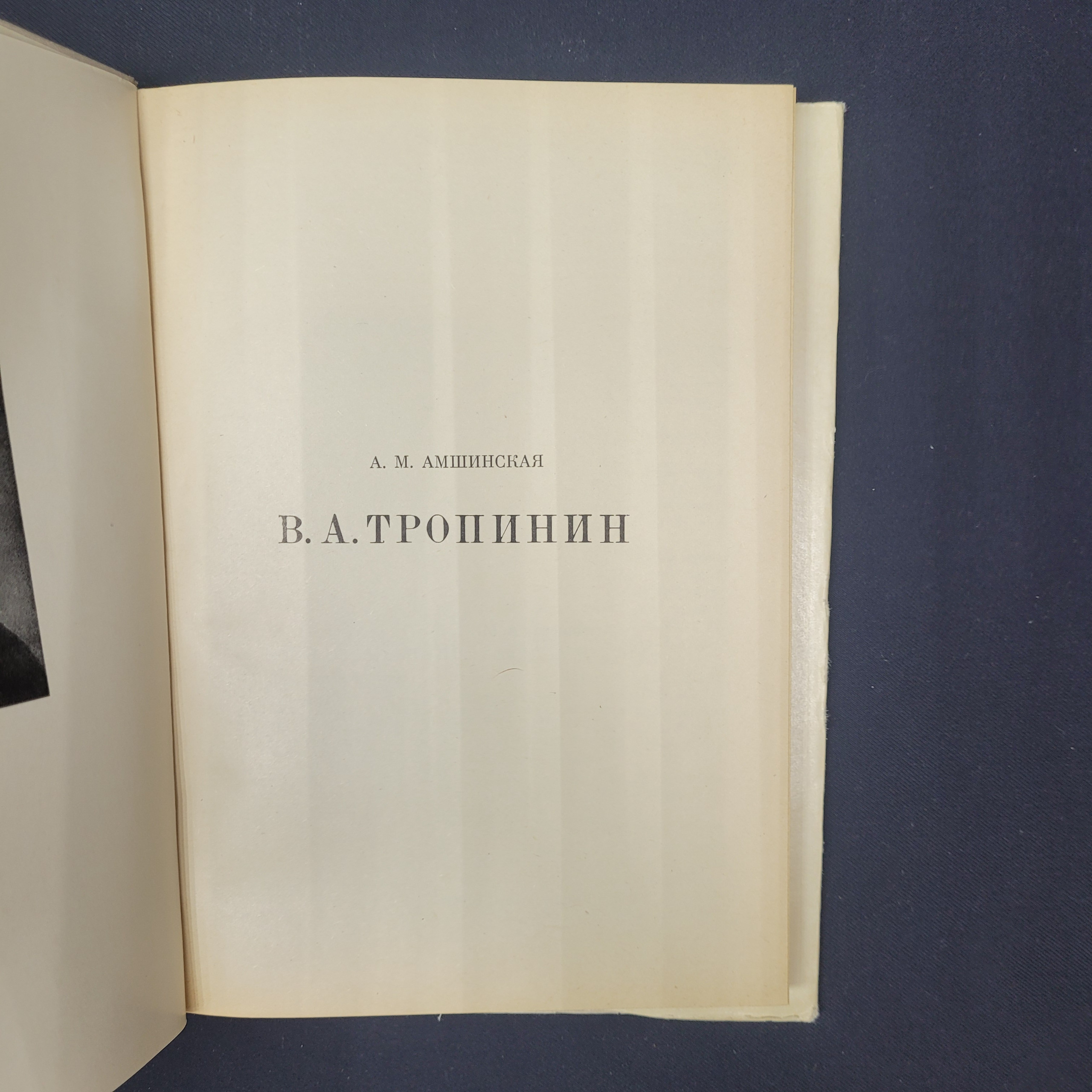 Картинка 4