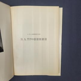 Картинка 4
