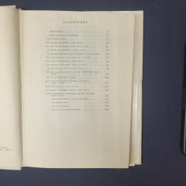 Картинка 6