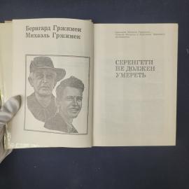 Картинка 4