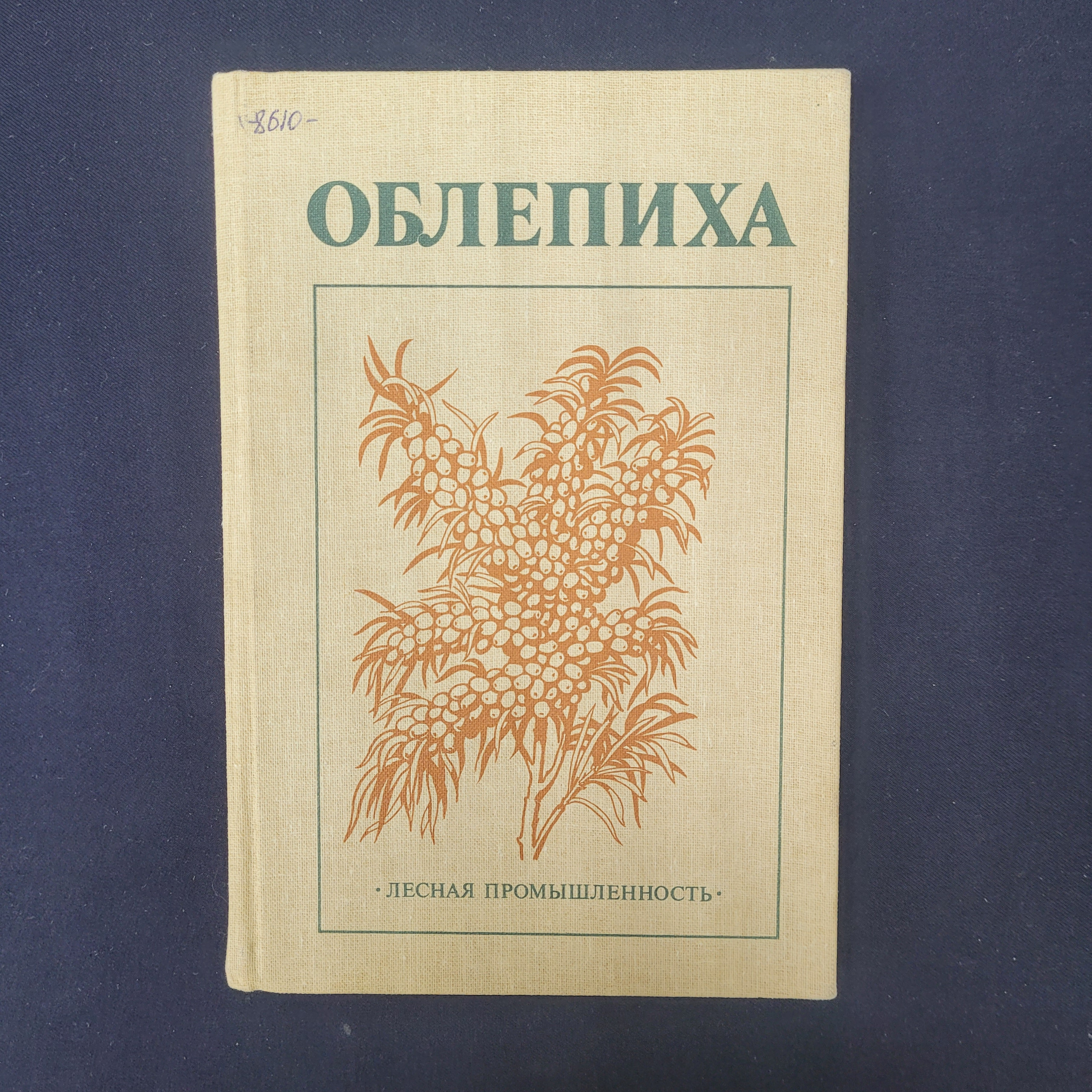 Картинка 1