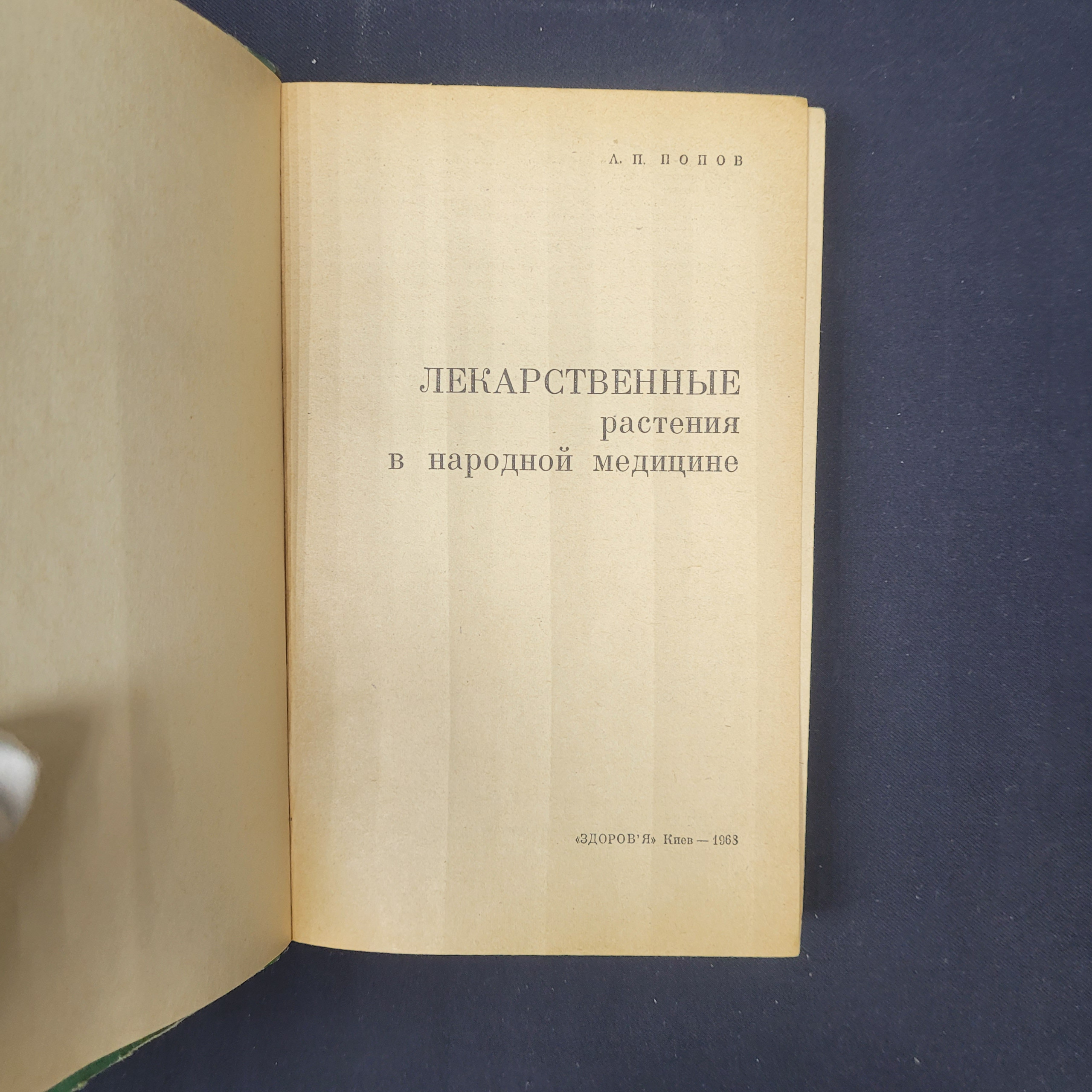 Картинка 4