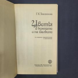 Картинка 4