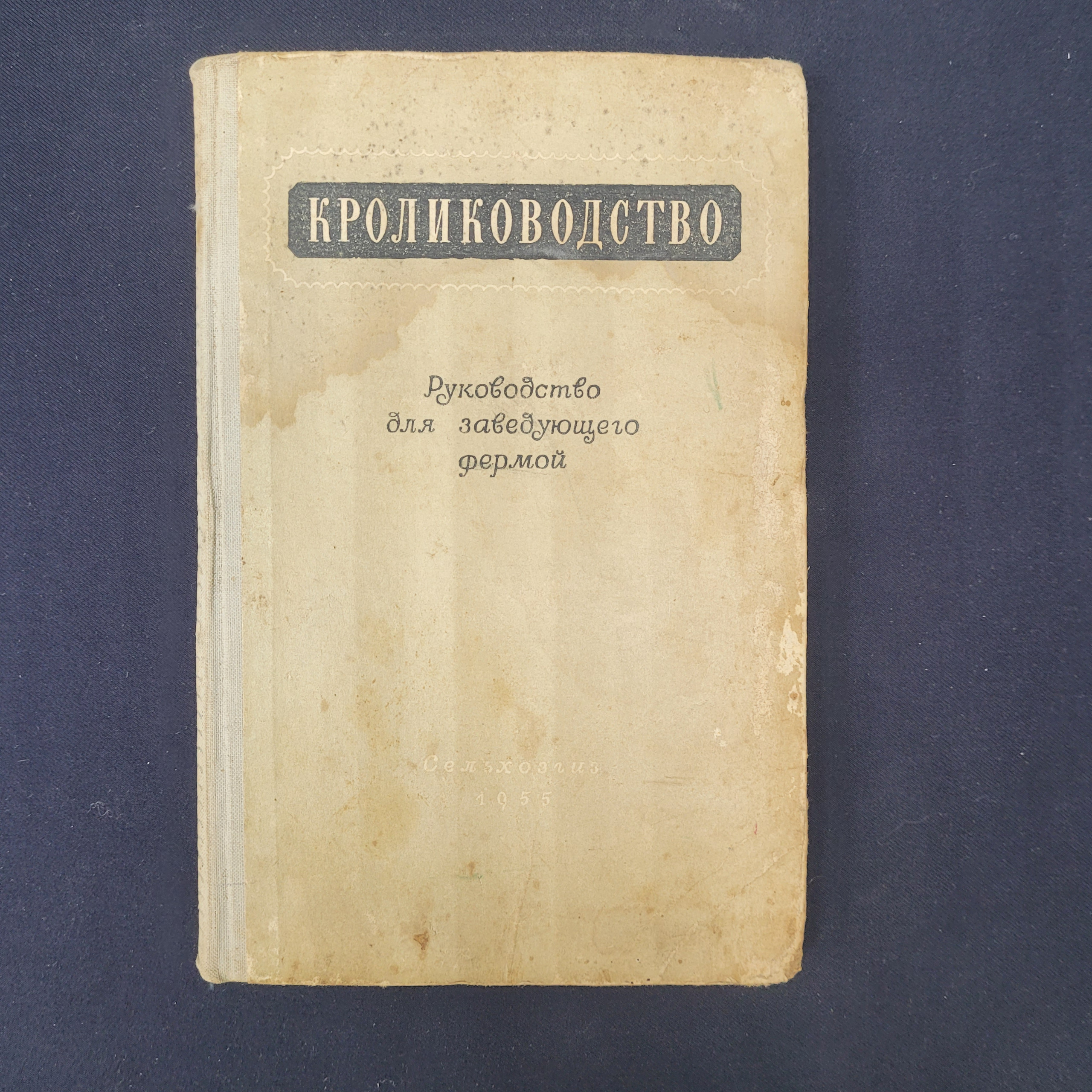 Картинка 1