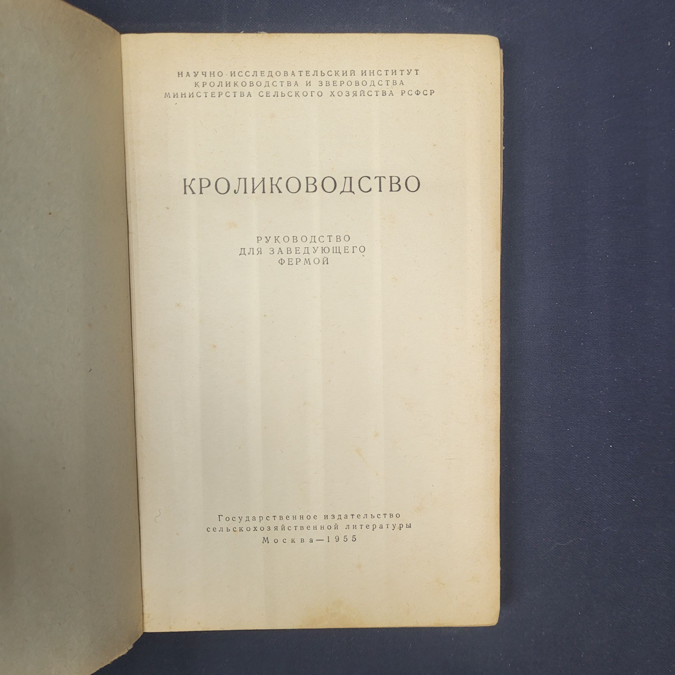Картинка 4