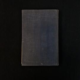 Картинка 3
