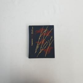 Картинка 1