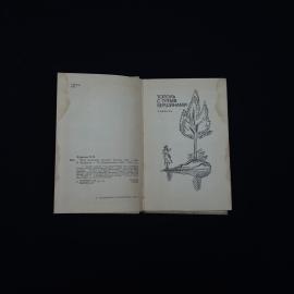 Картинка 5