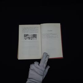 Картинка 3