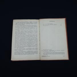 Картинка 3
