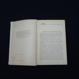Картинка 5