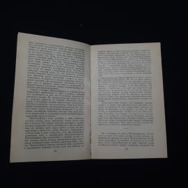 Картинка 4