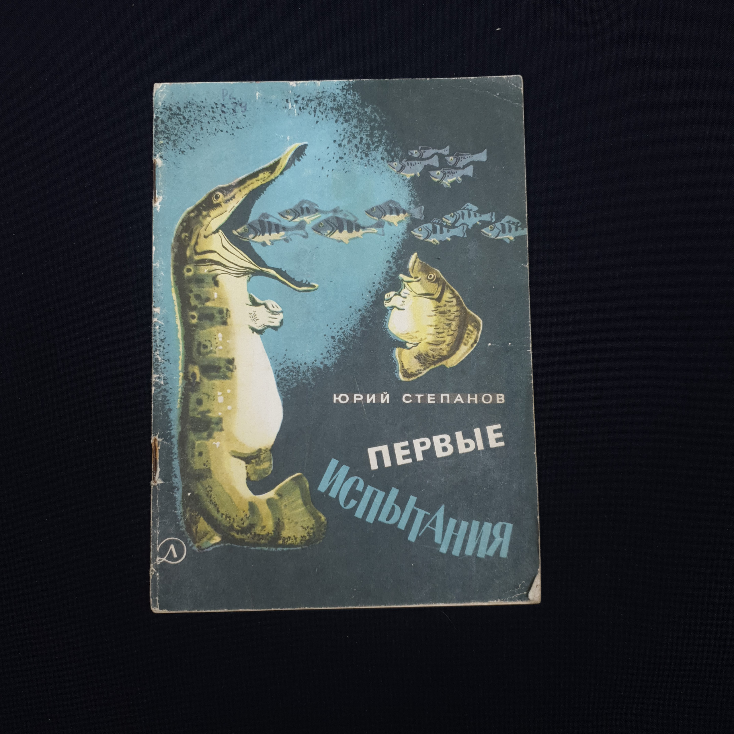 Картинка 1