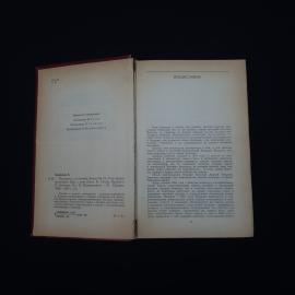 Картинка 5