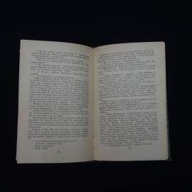 Картинка 4