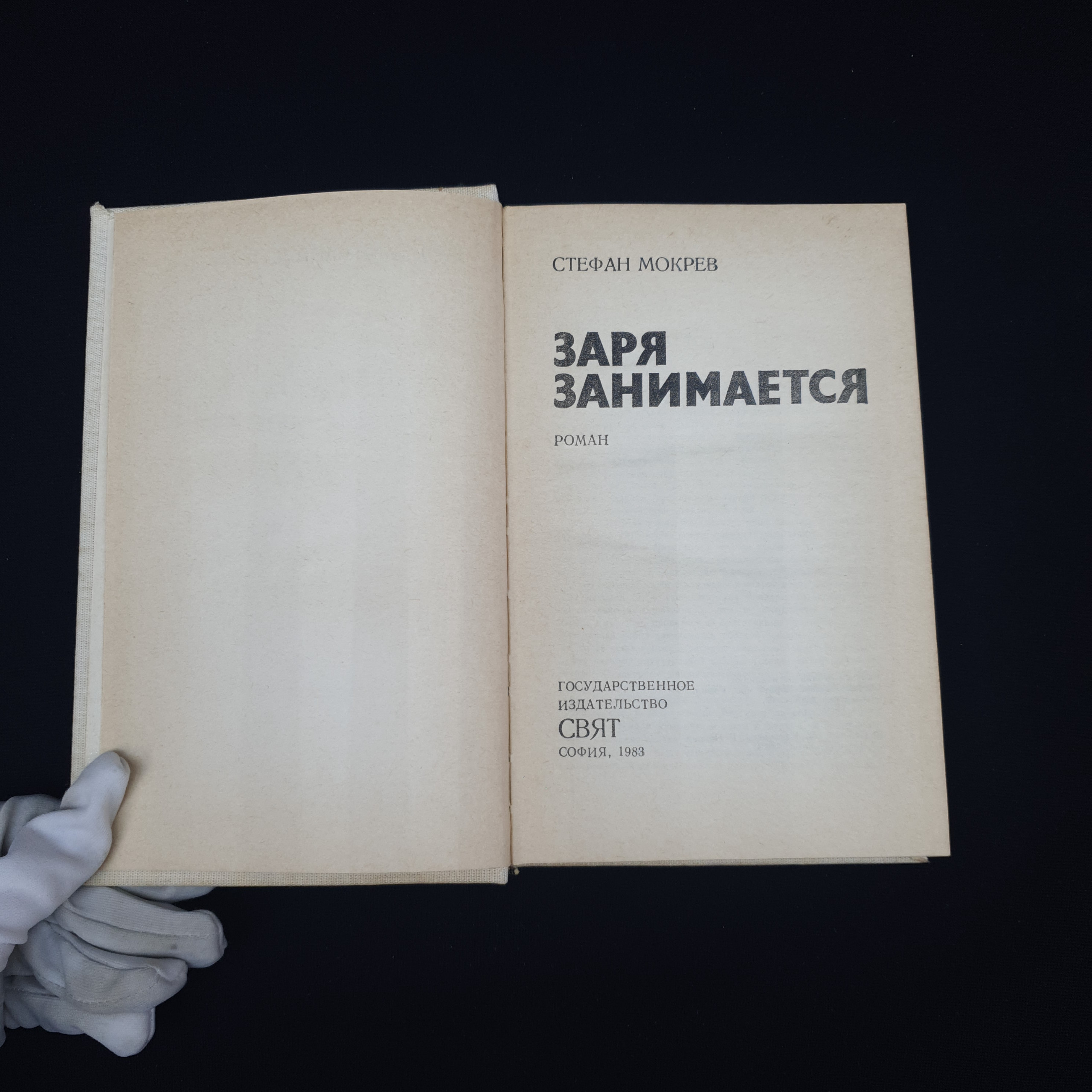 Картинка 5