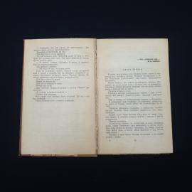 Картинка 5