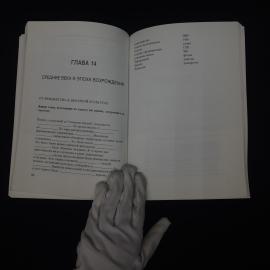 Картинка 4