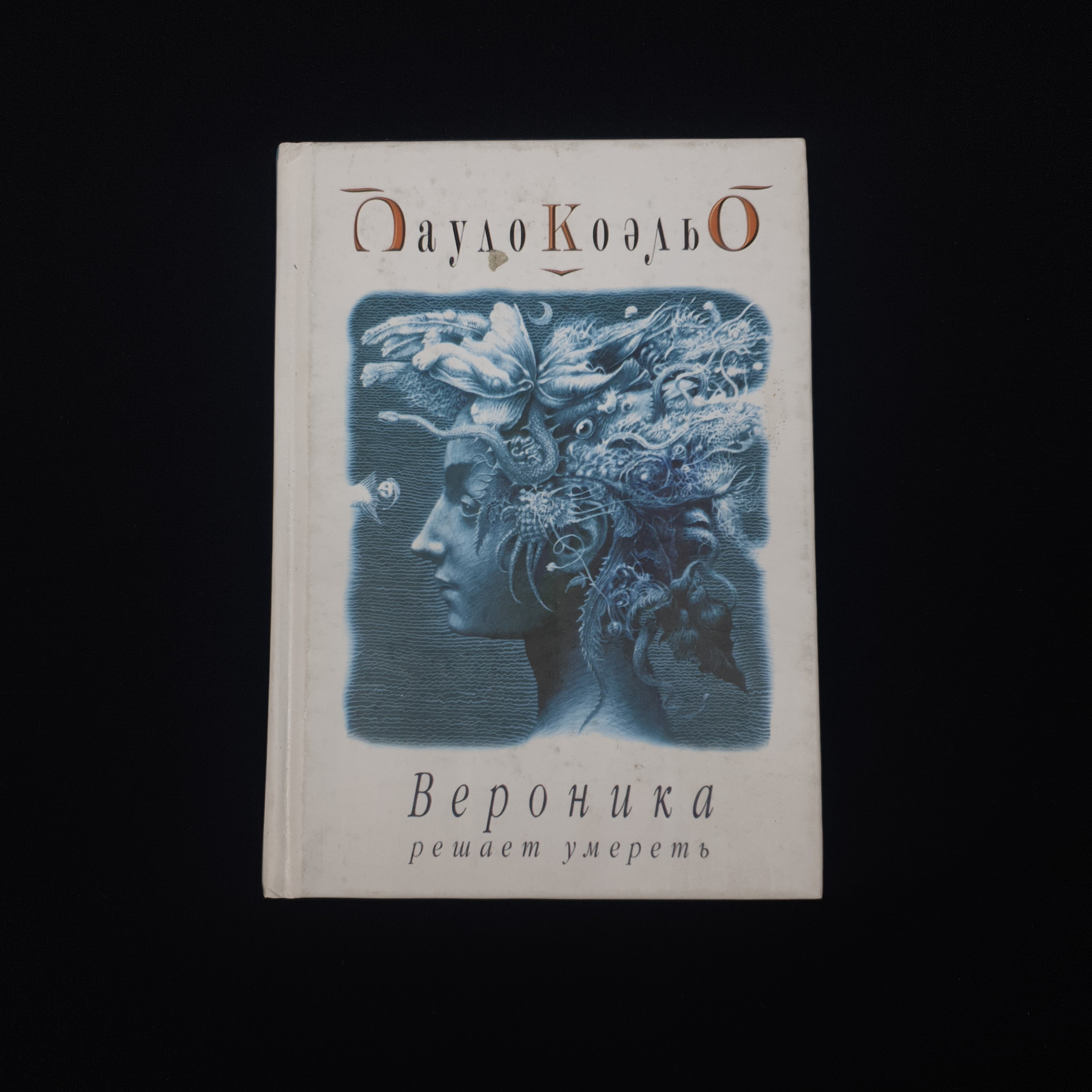 Картинка 1